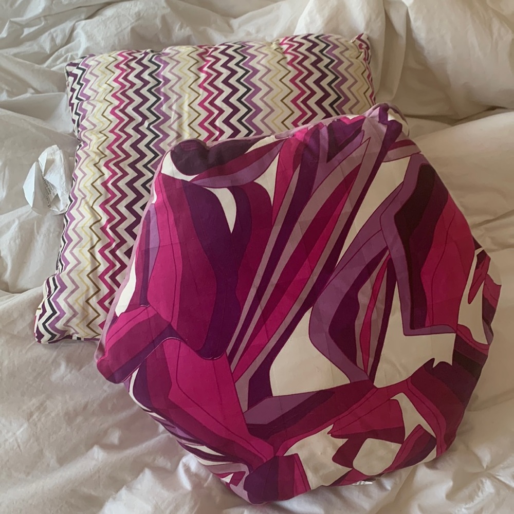 Missoni for Target throw pillow ( set of 2)